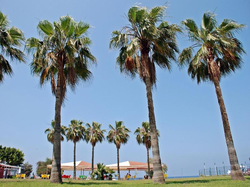 Selinus Beach Club Hotel image