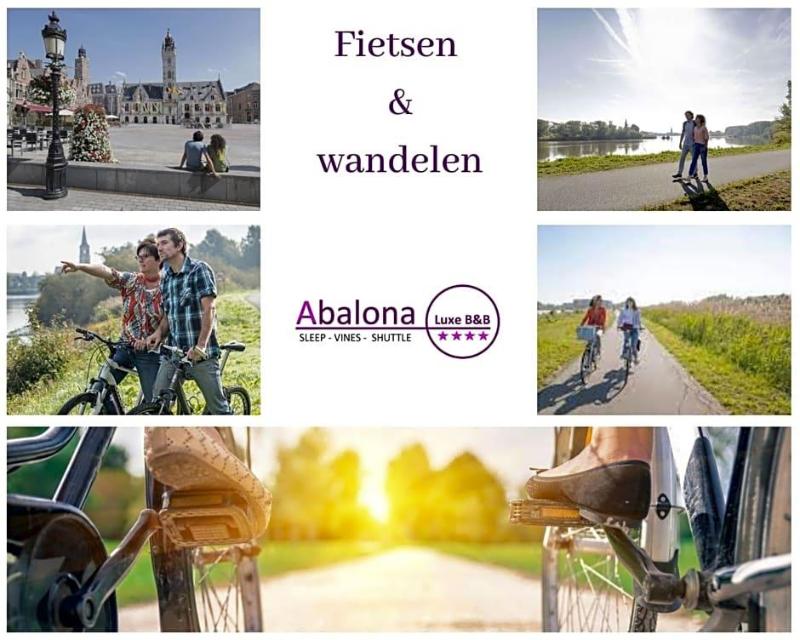 B&B Abalona image