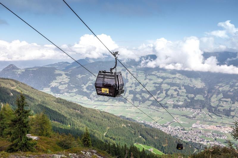 Waldfriede image