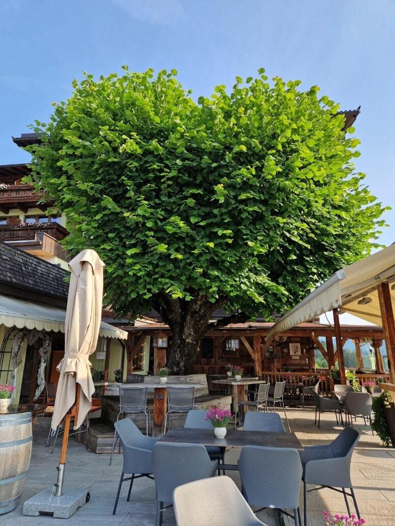 Waldfriede image