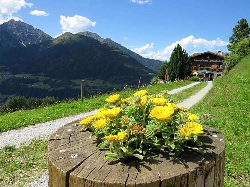 Gleinserhof image