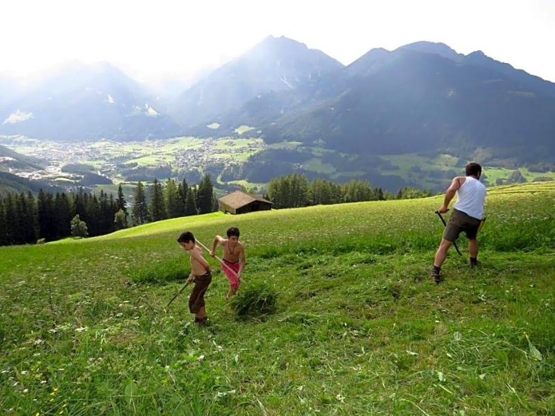 Gleinserhof image