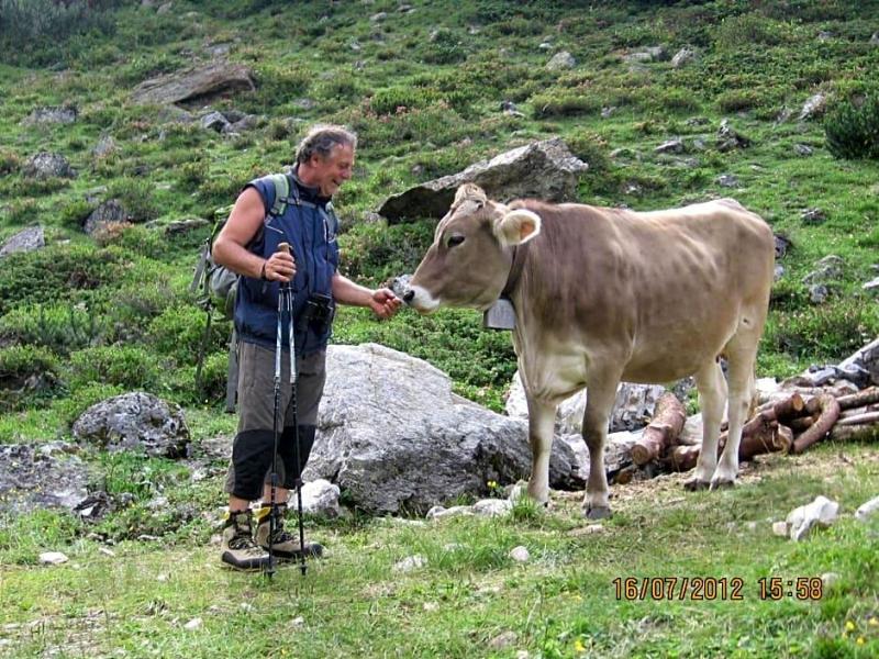 Gleinserhof image