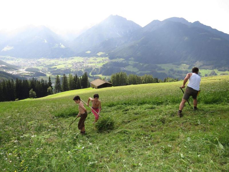 Gleinserhof image