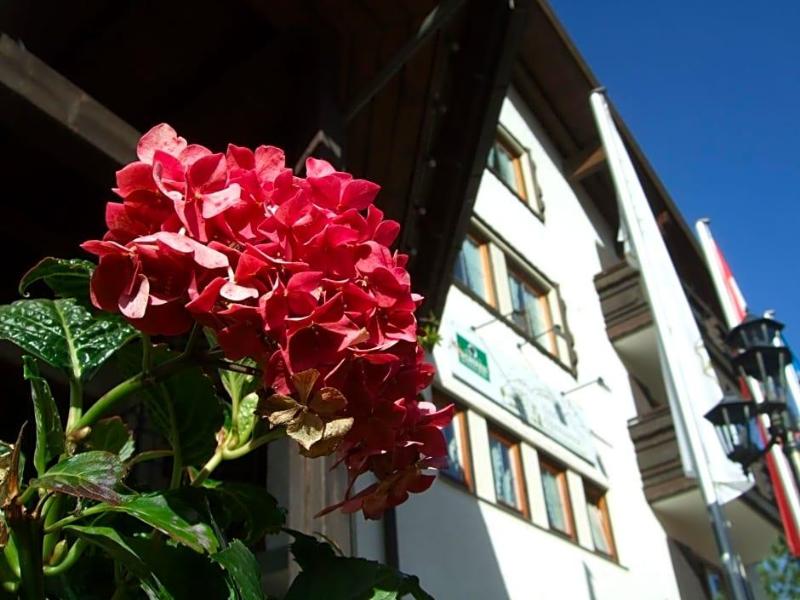 Alpensonne image