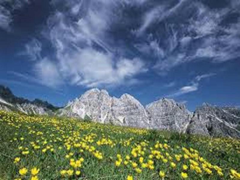Hoferwirt image