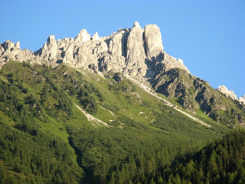 Hoferwirt image