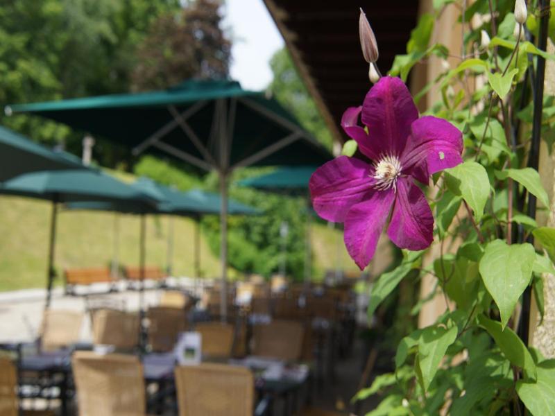 Schlosshotel Kassegg image