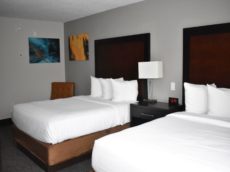 Wingate By Wyndham Atlanta Galleria Center image