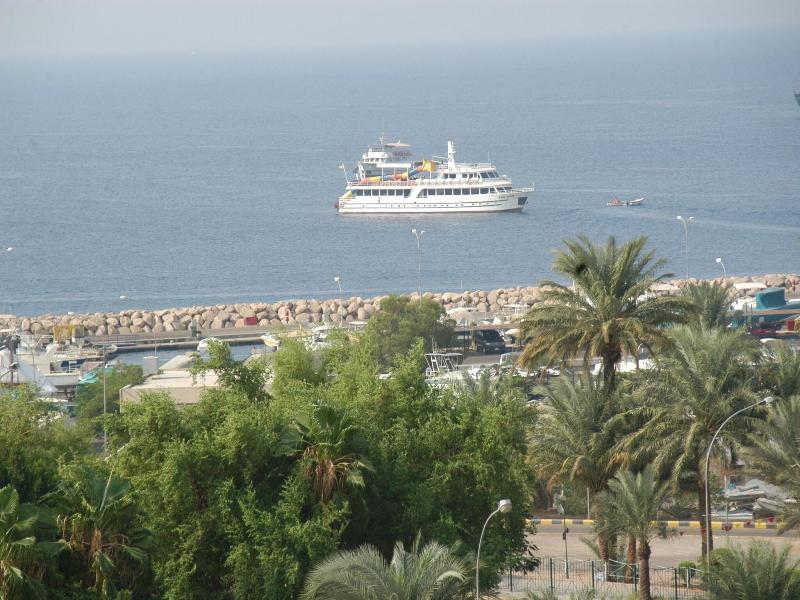 Mina image