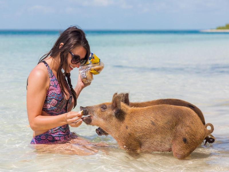 Green Turtle Club Resort & Marina
