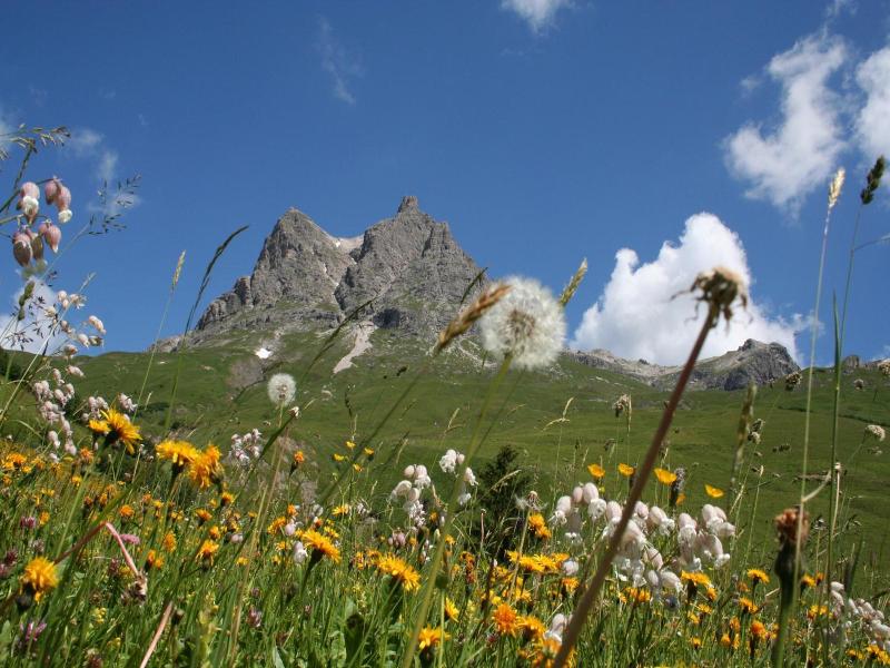 Adler image