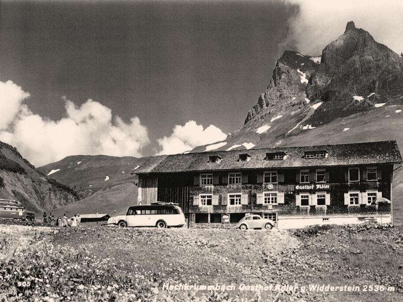 Adler image