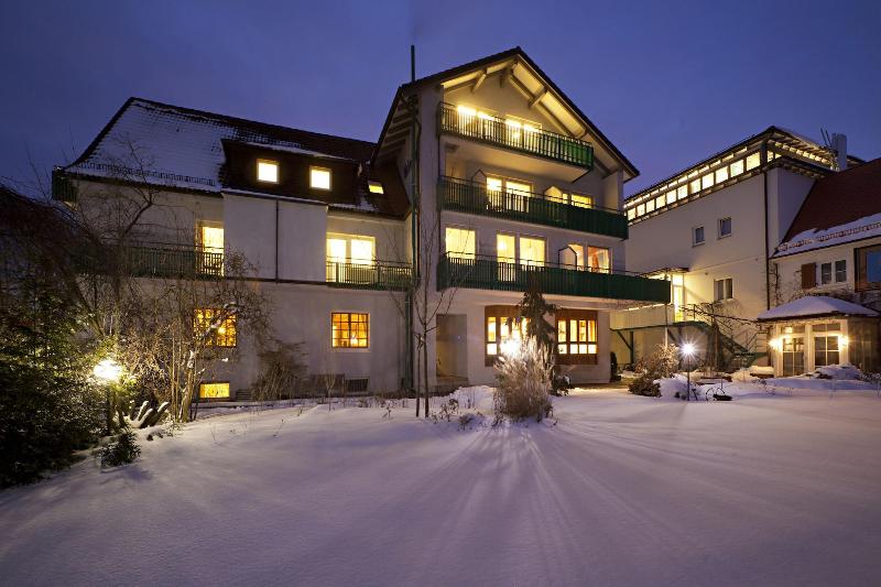 Edelweiss image