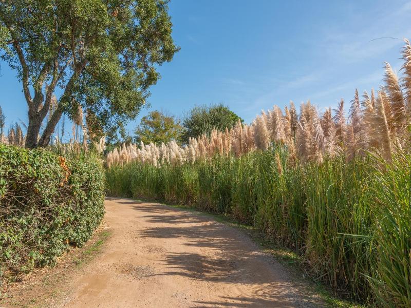 Domaine de Caranella image