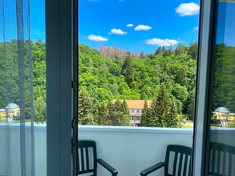 Morada Hotel Alexisbad image