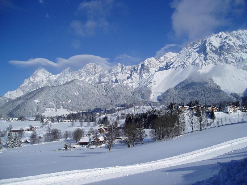 Stocker image