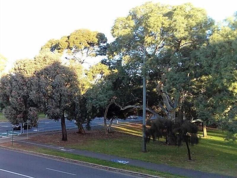 Adelaide City Park Motel image