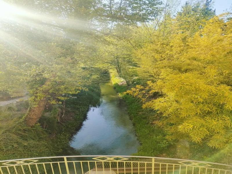Moulin de la Roque image