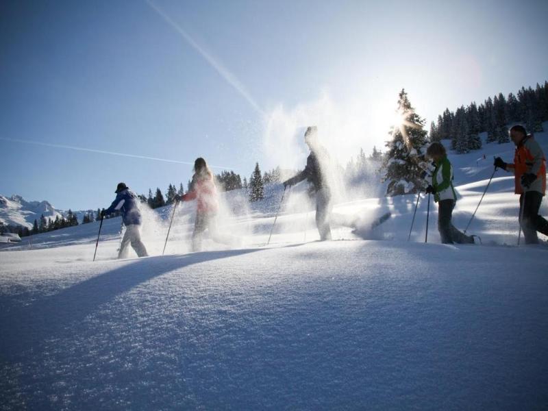 T3 Alpenhotel Garfrescha image