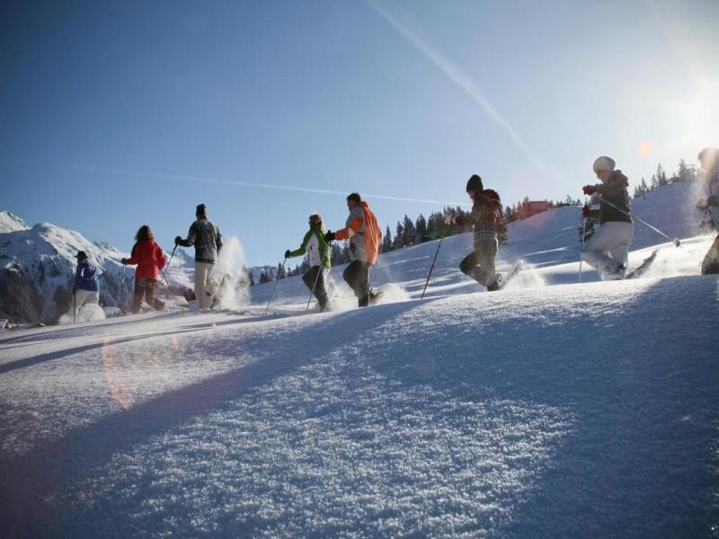 T3 Alpenhotel Garfrescha image