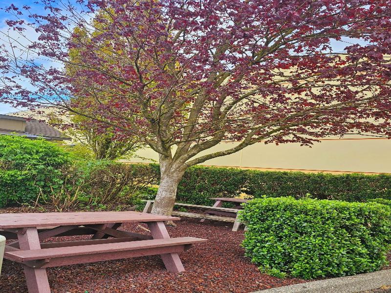 Ashley Inn of Tillamook image