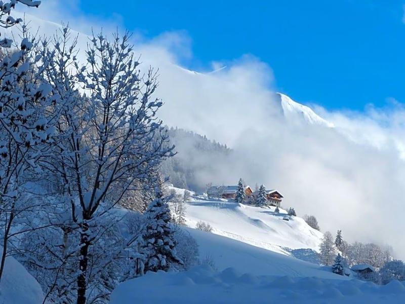 Gasthof Islitzer image