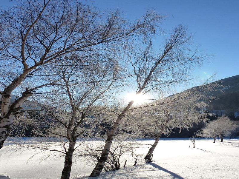 Gasthof Islitzer image