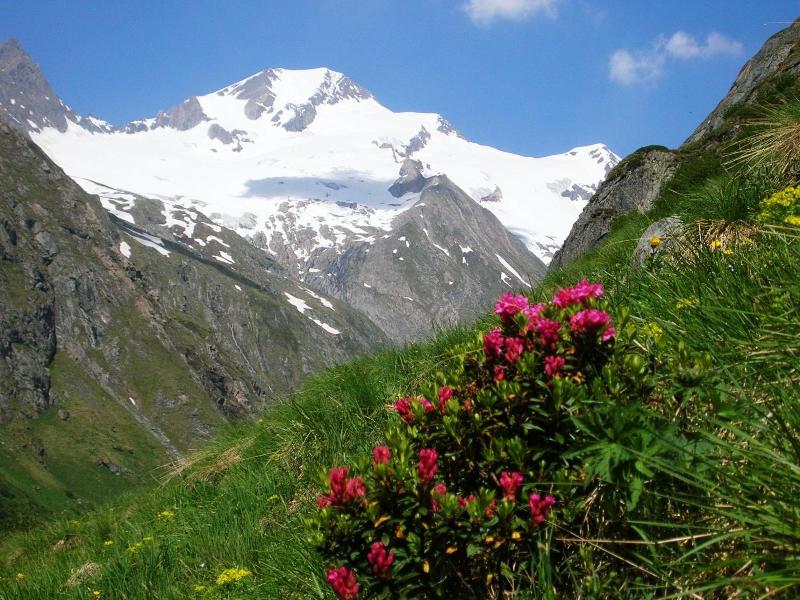 Gasthof Islitzer image