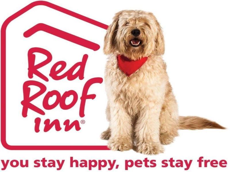 Red Roof Inn Austin - Round Rock image