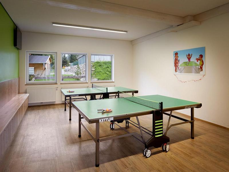 Hotel der Wolkensteinbär image