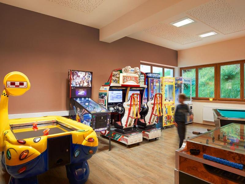 Hotel der Wolkensteinbär image