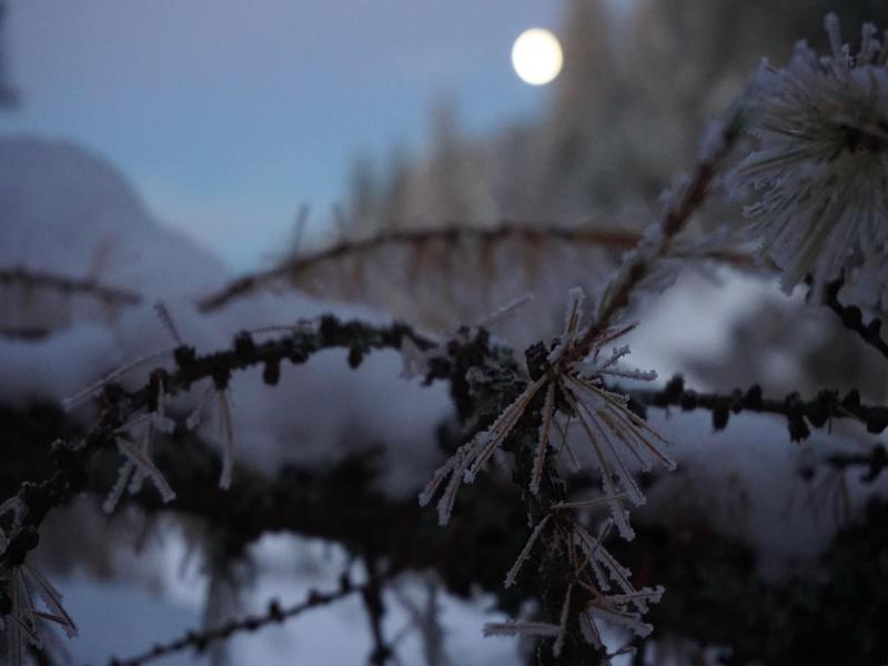 Tyrol image