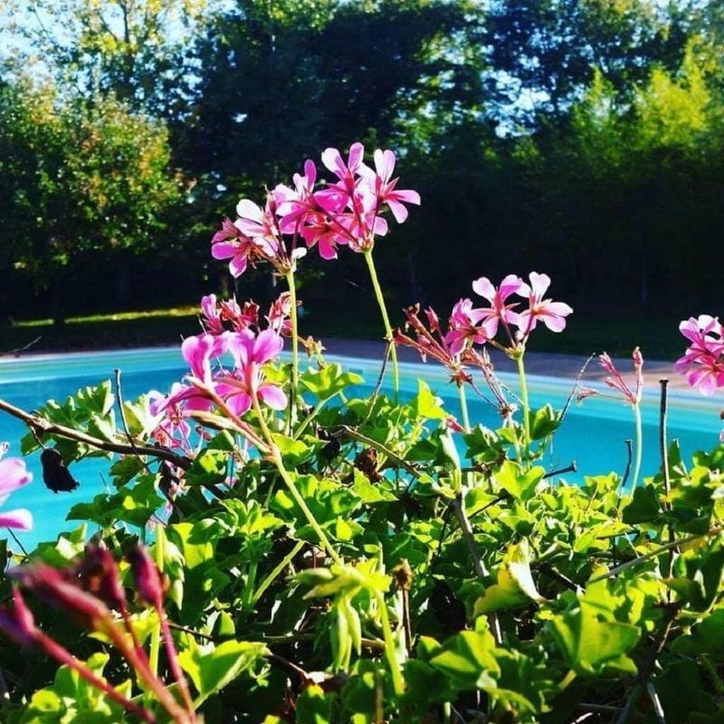 Azienda Il Sole Verde image