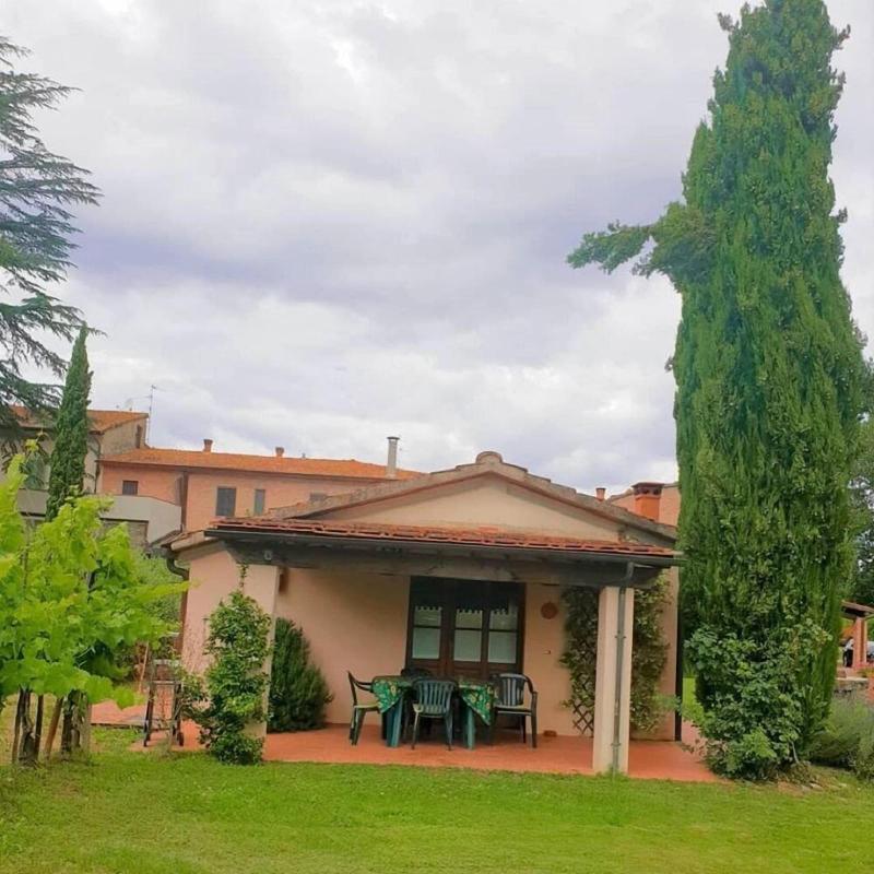 Azienda Il Sole Verde image