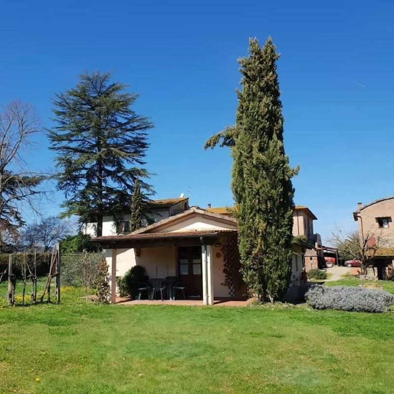 Azienda Il Sole Verde image
