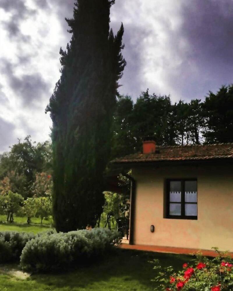 Azienda Il Sole Verde image