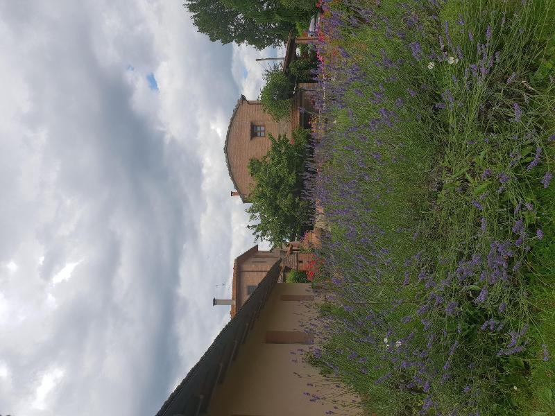 Azienda Il Sole Verde image