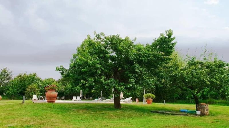 Azienda Il Sole Verde image