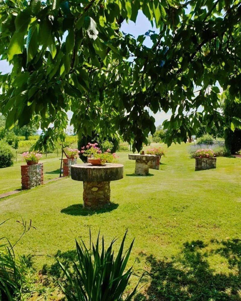 Azienda Il Sole Verde image