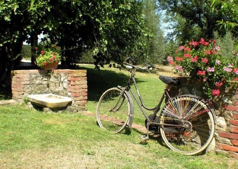 Azienda Il Sole Verde image