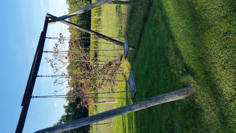 Azienda Il Sole Verde image