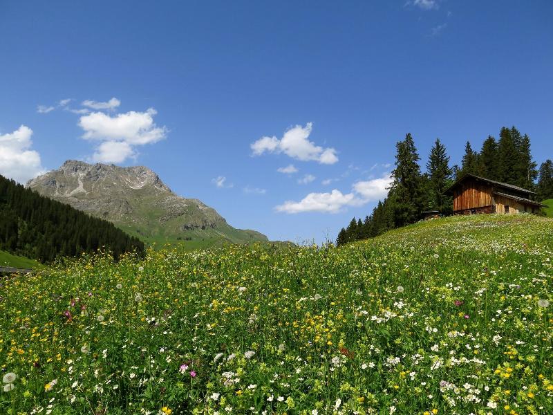 Hotel Garni Lavendel image