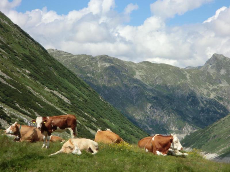 Malteinerhof image