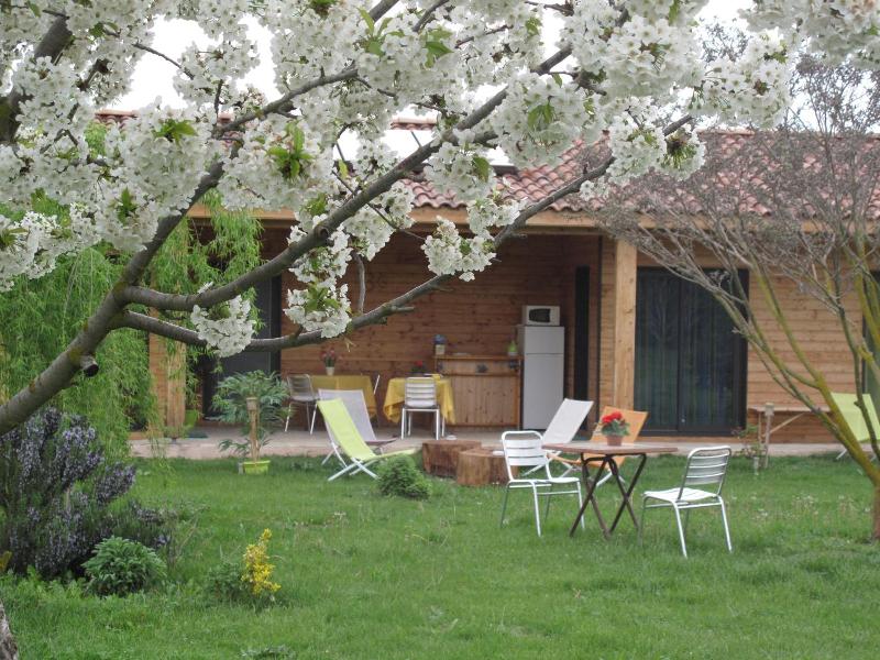 Etape Provencale image