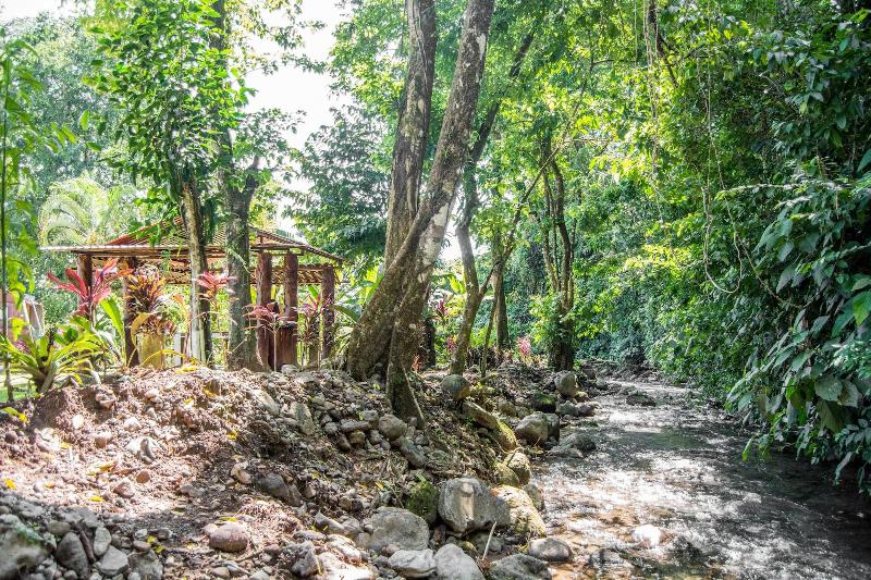 Lavas Del Arenal — photo 4