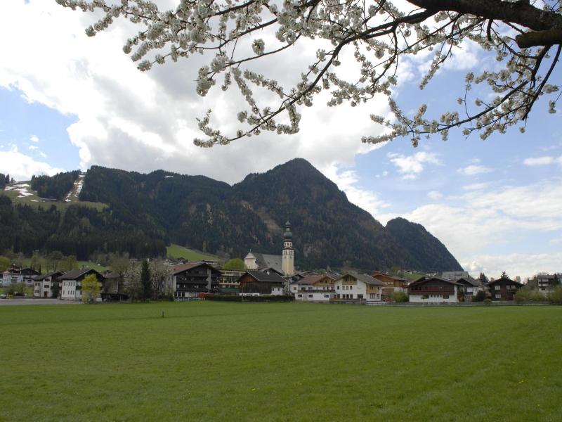 Stockerwirt image