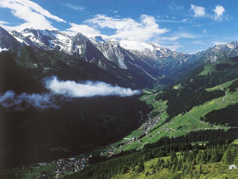 Forelle image