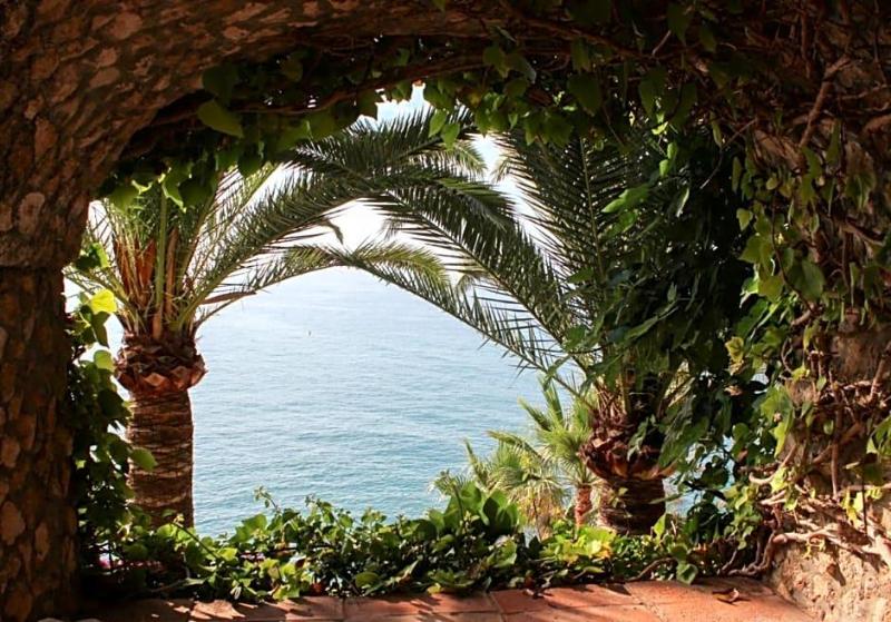 Paraiso del Mar image