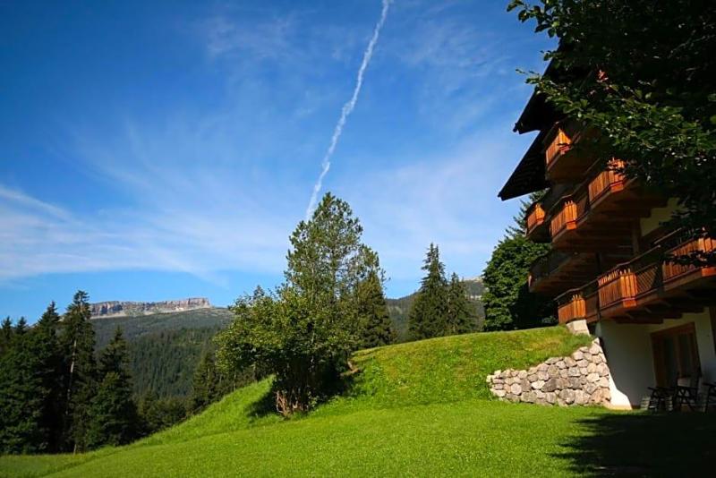Bellevue image